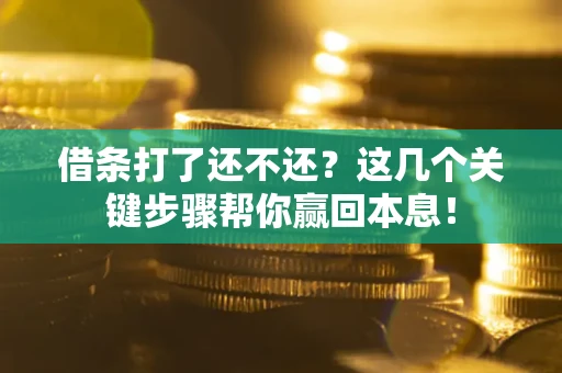 济南借条打了还不还？这几个关键步骤帮你赢回本息！