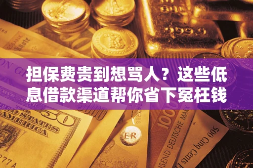 济南担保费贵到想骂人？这些低息借款渠道帮你省下冤枉钱