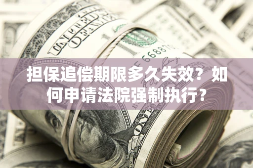 济南担保追偿期限多久失效？如何申请法院强制执行？
